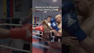 😨Жена Дацика не разрешила продолжать бой мма boxing [upl. by Kozloski]