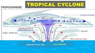 Tropical Cyclone Hurricane Storm Formation explained  Cyclone Biparjay in Arabian Sea Gujarat [upl. by Tertias367]