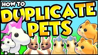 adopt me dupe pets hack 2024🤯 [upl. by Eelaras]