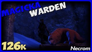 Magicka Warden  126k  Necrom u39 [upl. by Brandtr569]