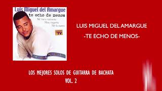 THE BEST BACHATA GUITAR SOLOS  VOL 2 [upl. by Macmahon]