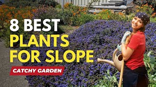 8 Best Plants for Slopes 🌻🌿🌷 [upl. by Nitsua]