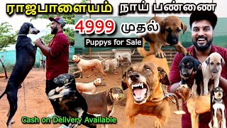 தமிழ்நாட்டின் மிகவும் ஆபத்தான 5 நாய்கள்  Tamil Nadu dog breeds  Vinotha Unmaigal [upl. by Euqinahc]