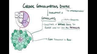 Chronic granulomatous diseases شرح بالعربي [upl. by Macknair749]