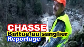 CHASSE  Battue au sanglier en Ardèche [upl. by Eimia]