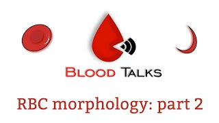 RBC morphology  Part 2 the RBC’s shape terminology [upl. by Gnoz]