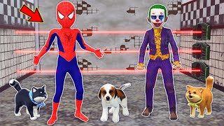 team spider man vs bad guy joker ► kid spiderman kid joker Rescue small dogs  funny animation [upl. by Ahsirhcal]