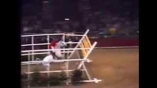 World Record Horse High Jump 2 32 meters [upl. by Gross]