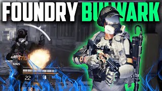 The Division 2  FOUNDRY BULWARK IS META  THE LADY DEATH WITH THIS BUILD IS CRAZY [upl. by Knoll520]