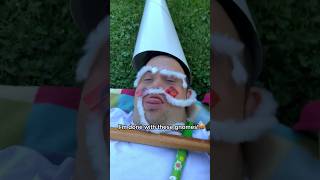 THE GNOMES ARE EVOLVING gnomes knights wizard downsyndrome trend [upl. by Verge]