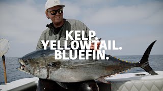 Summertime Yellowtail amp Bluefin Fishing  Mavriksportfishing [upl. by Magda854]