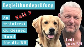 Begleithundeprüfung  So trainierst du deinen Hund für die BH Teil 3 [upl. by Htirehc]