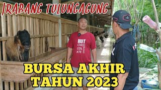 Bursa Akhir Tahun 2023 Jrabang Sembara Farm Tulungagung [upl. by Bissell]