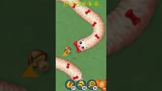 wormsZone kitty vs worm wormszone shorts slithersnake gaming saampwalagame wormszoneio kitten [upl. by Rosenberg]