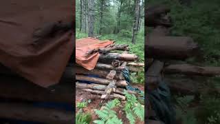 Survival Shelter in the Woods cabininthewoods cabin tinyhouse [upl. by Krute]