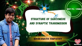 STRUCTURE OF SARCOMERE and SYNAPTIC TRANSMISSION  USMLENEETPG  NM Physiology  MEDVERSE [upl. by Diamond]