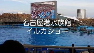 名古屋港水族館イルカショー 2017年 夏バージョンロング [upl. by Wheeler807]