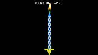 How Birthday Candles Burns Time Lapse shorts [upl. by Vharat]