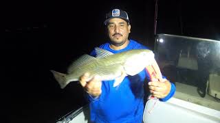 BRAUNIG LAKE NIGHT FISHING [upl. by Theodor135]