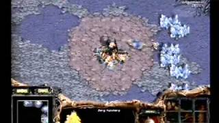 WCG 2006그랜드 파이널 그룹G ACTDarCaleb 체코 vs JulyZerg 박성준 [upl. by Anuat]