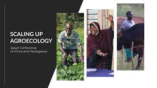 Scaling Up Agroecology [upl. by Nylqcaj277]