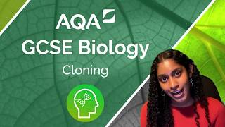 AQA GCSE Biology Cloning [upl. by Schwarz955]