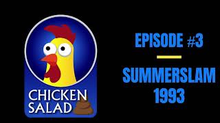 SummerSlam 1993  Wrestlings Chicken Salad 3  Place to Be Wrestling Network [upl. by Caasi25]