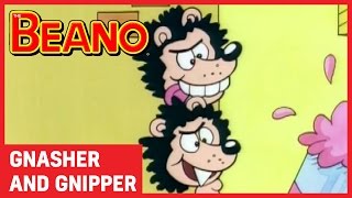 Gnasher and Gnipper  Best Bits  Beano All Stars [upl. by Divaj]