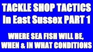 Beach Fishing Tips for East Sussex with the Anglers Den  Part I [upl. by Aksel]