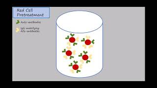 Haemagglutination test [upl. by Sherie383]