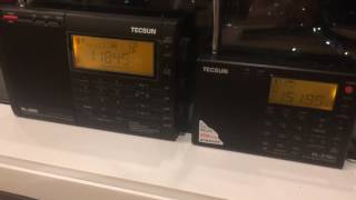 Tecsun PL660 vs Tecsun PL310ET  Scan Comparison 1 [upl. by Secundas]