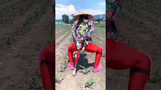 Modern agricultural tools  Super fertilizer applying tool 🥱 shorts tools youtubeshorts [upl. by Natty]