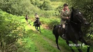 Devon and Somerset Staghounds at Redgate Farm [upl. by Ness917]