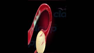 stop menstrual cycle  3D Animation [upl. by Krasnoff175]