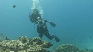 Honeymoon Diving in Mauritius oceandivermu [upl. by Akciret]