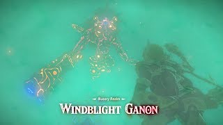 WindBlight Ganon REMATCH in The Illusory Realm  Zelda Breath of the Wild  Champions Ballad [upl. by Whiteley]