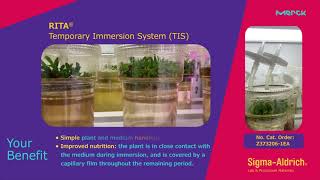 Boost your plant tissue culture yields with RITA®Temporary Immersion System TIS [upl. by Halette]