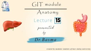 15 Ischiorectal fossa amp anal canal Dr Basma Anatomy GIT [upl. by Chrissa]