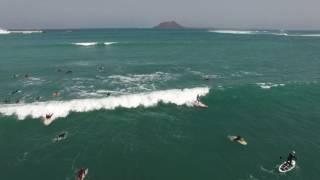 SHARKS IN CORRALEJO  FUERTEVENTURA [upl. by Leoy]