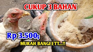 PAKAN MURAH BANGET Ternak Ayam Kampung Bisa UNTUNG 3X LIPAT [upl. by Donny163]