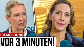 Reporterin versucht Alice Weidel bloßzustellen und kassiert heftige Standpauke [upl. by Hardi]