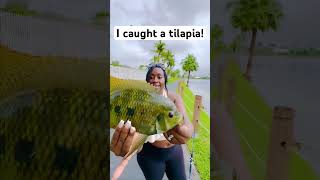 TILAPIA are REAL fish Caught it on a CRAPPIE JIG fishing in Florida Would you Catch and Cook [upl. by Eelesor39]