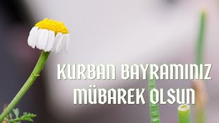 KURBAN BAYRAMI MESAJLARI 2023  EN GÜZEL RESİMLİ KURBAN BAYRAMI MESAJLARI [upl. by Maye]