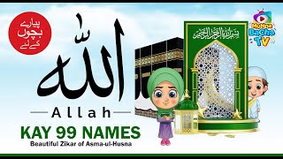 99 Names of Allah  Asma ul Husna [upl. by Nedac378]