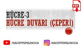 21 HÜCRE3 HÜCRE DUVARIÇEPERİ  TYT  9Sınıf  hacettepelihoca [upl. by Nehemiah]