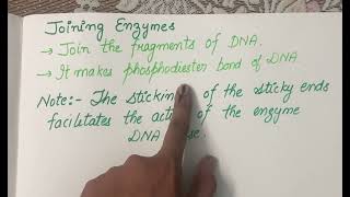 Joining enzyme quotDNA LIGASE” [upl. by Idou]