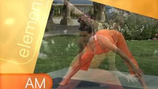 Element AMampPM Yoga for Beginners [upl. by Kimmy]