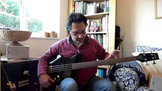 Westone Thunder 1A Fretless Bass Demo [upl. by Suedaht]