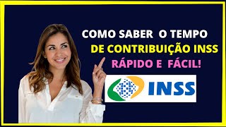 Como saber o tempo de contribuição do INSS  Consultar tempo de contribuição INSS pela internet [upl. by Nosnorb]