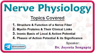 Nerve Physiology  Structure and function of neuron Action potential of neuron 🌟🧠 [upl. by Jablon]